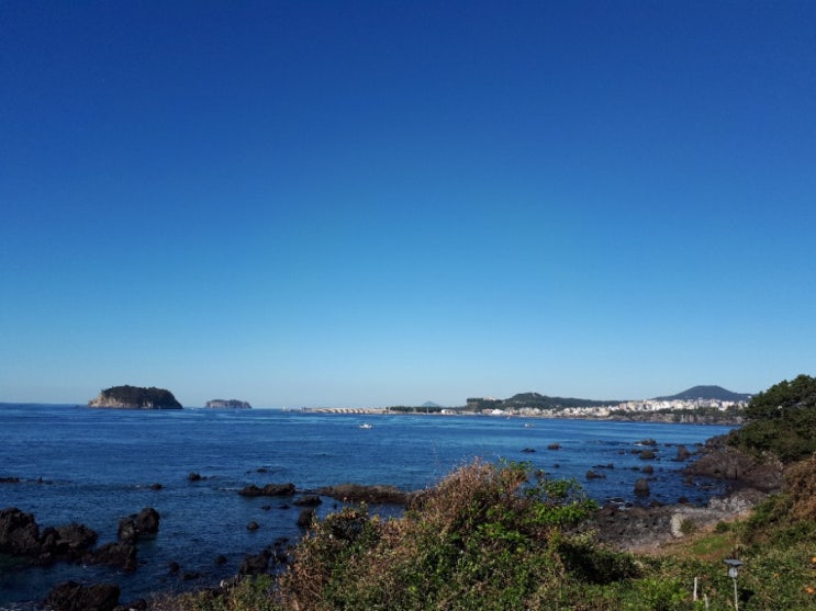  제주가을 느끼기