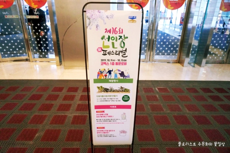 가볍게 슝 다녀왔어요 코엑스 선인장페스티벌