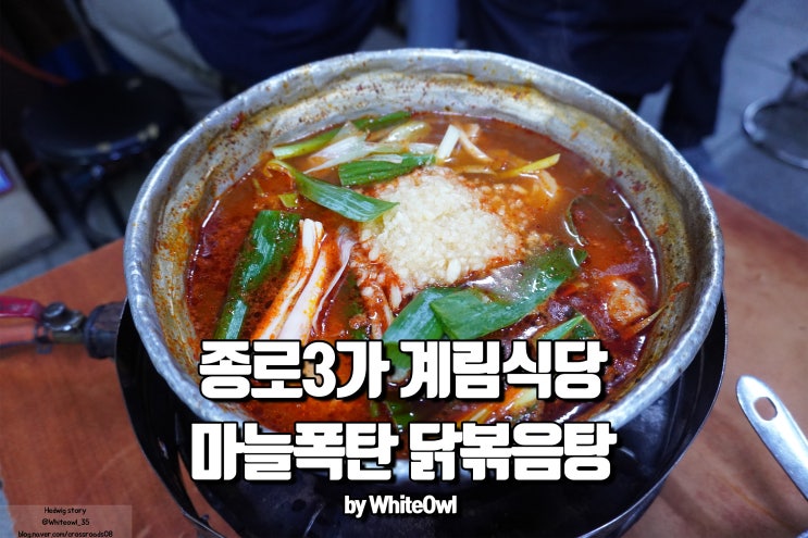  계림식당 종로3가 닭도리탕 마늘향과 칼칼한 맛으로 찾는 맛집 계림