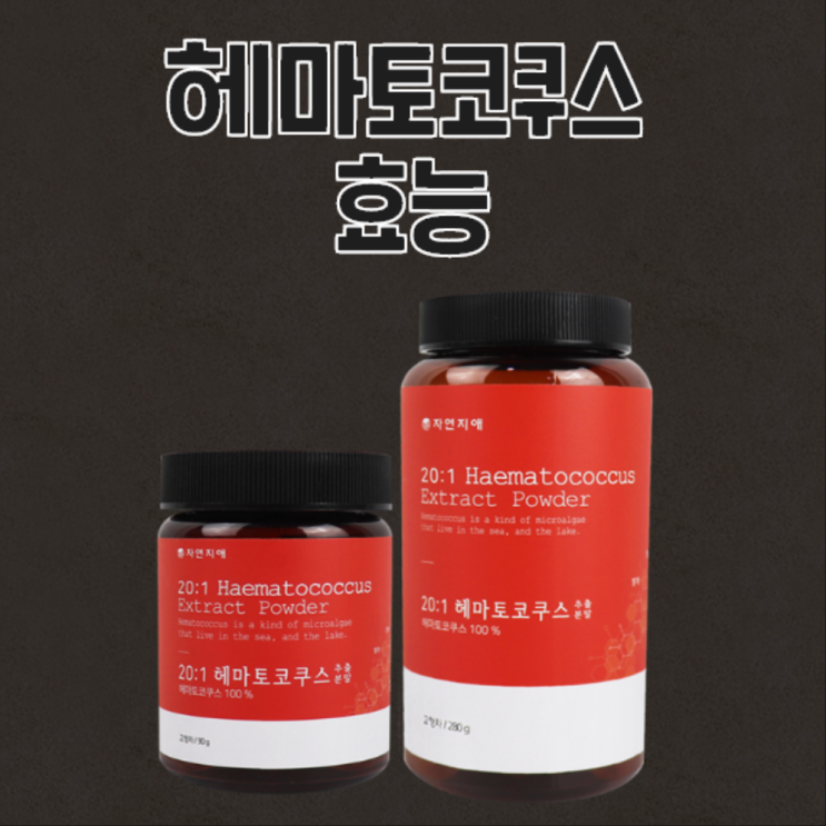  헤마토쿠스 효능 & 루테인 아스타잔틴 헤마토코쿠스 부작용