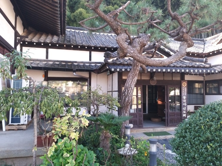  군산 동국사  국내유일 일본식사찰 주차하기