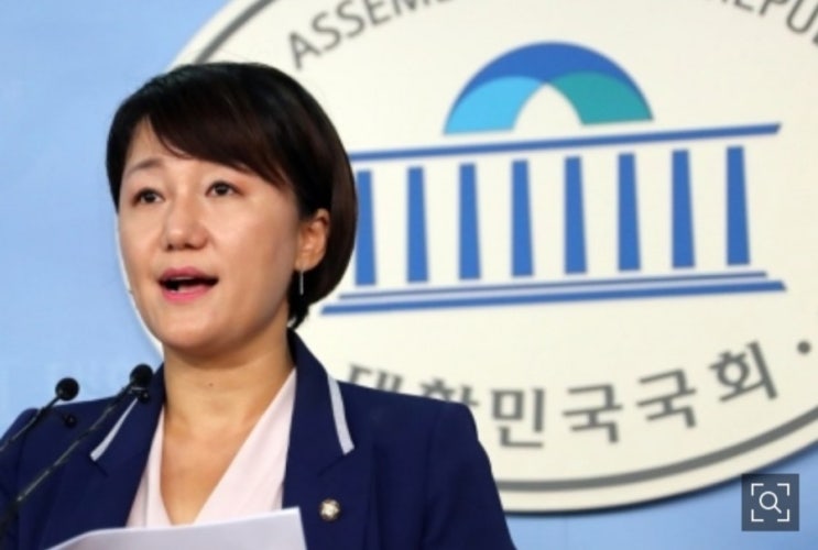  [더불어민주당] 기레기 발언 국회의원 이재정 한글날 논평서 "정치권 막말 부끄러워" / 안양 동안을