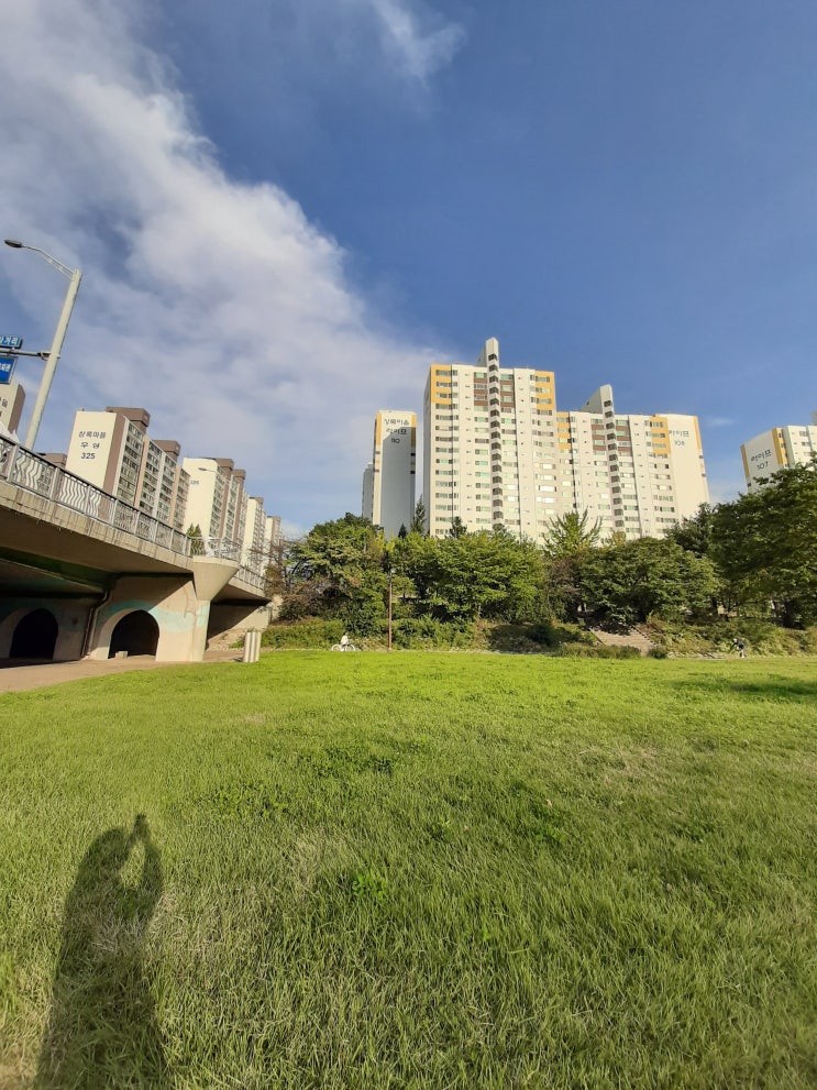  분당 가볼만한 곳 탄천 나들이~