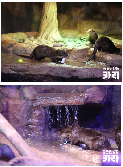  [성명서] 동탄신도시의 5번째 '주렁주렁' 입점을 즉각 철회하라!
