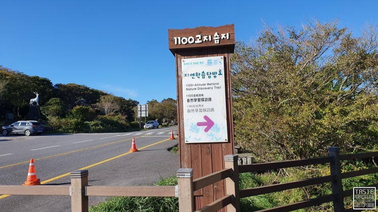  한라산 1100고지 드라이브 코스로 좋아요.