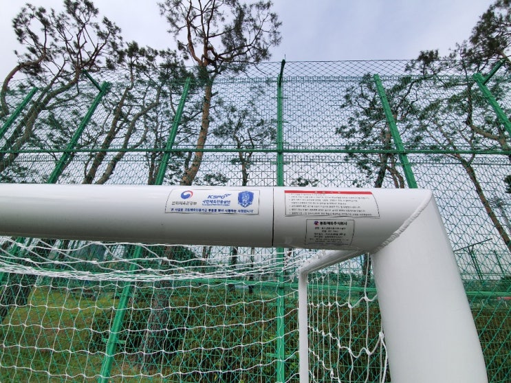  천안축구센터