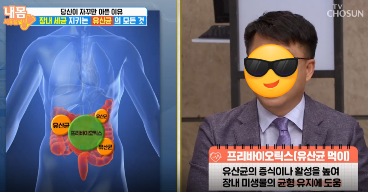  [유산균의 효능과 부작용] 유산균 이것만은 알고 드세요