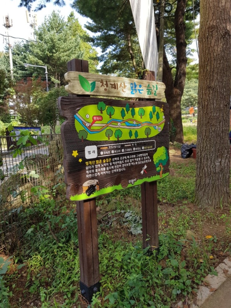 의왕 가볼만한곳!! 경기도 가을의 명소 청계산 산책 "청계산 맑은숲 공원"으로 가을 나들이 하기