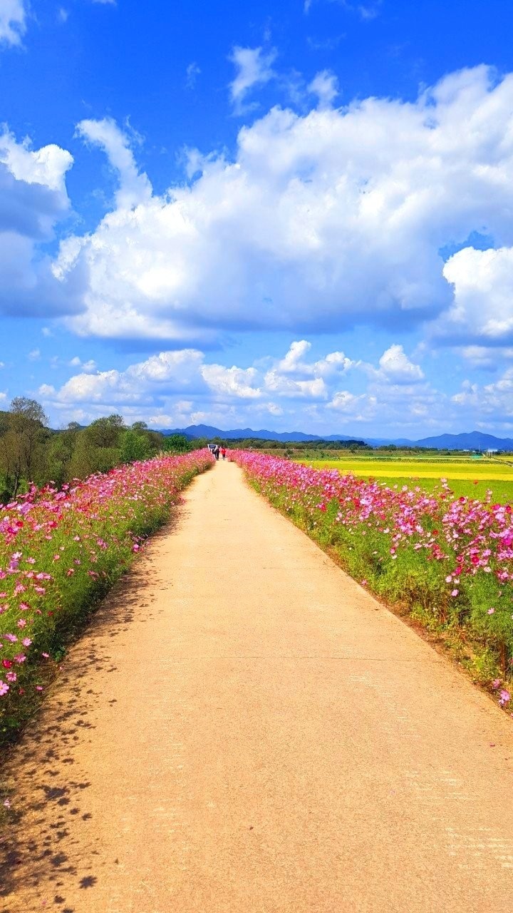  #대한민국 명강사 복덩이강사 세계전통놀이체험도  퀄리티가 높다 ~#행사기획전문가와 함께하는 놀이는 내친구 전통놀이 세계전통놀이 나주마한축제현장
