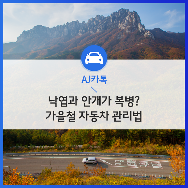  낙엽과 안개가 복병? 가을철 자동차관리법!