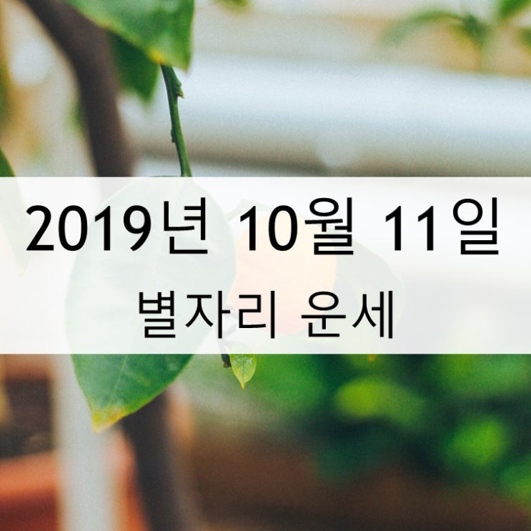  별자리 운세 10월 11일