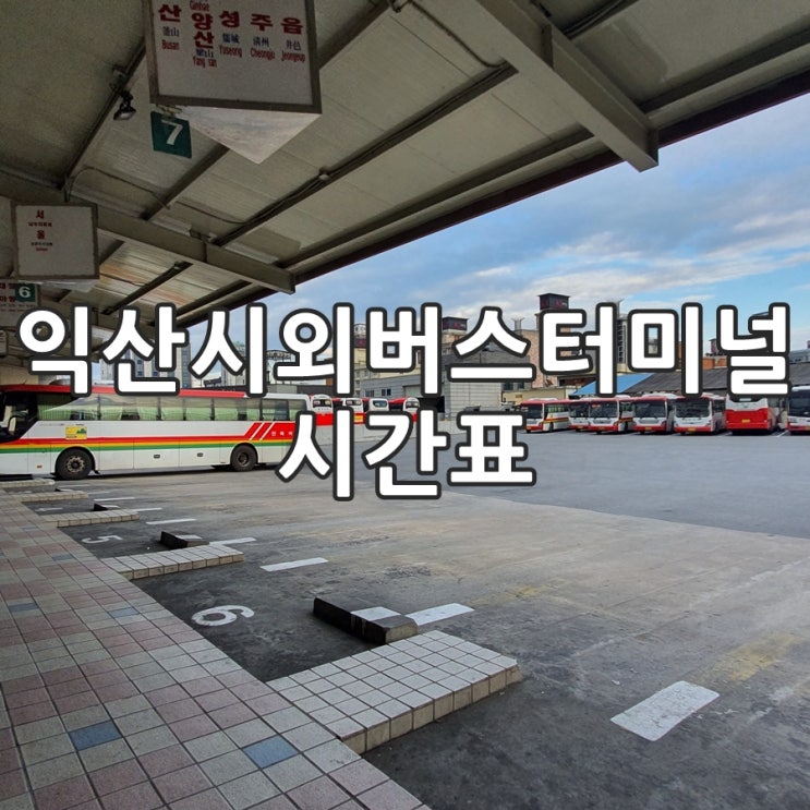  익산시외버스터미널 시간표, 익산천만송이국화축제 가자!