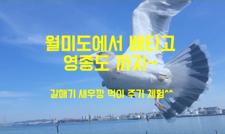  월미도에서 배 타고 영종도 선녀바위 해수욕장 다녀왔어요 (유람선은 아님^^)