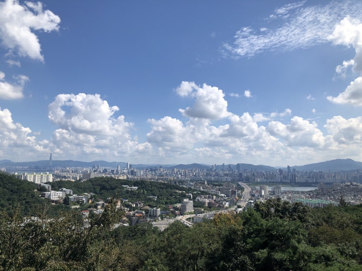  53번째 일상