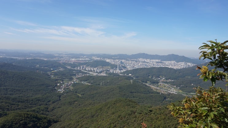  관악지맥 1구간(백운산~국사봉~매봉~가루개)