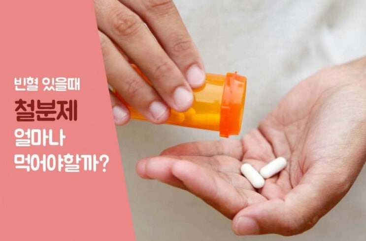  빈혈이 있을때 철분제 얼마나 먹어야 할까?
