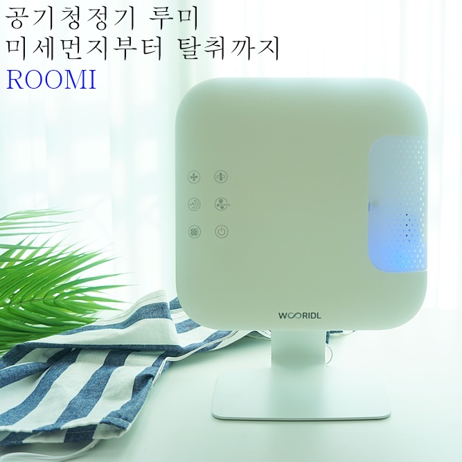 공기청정기 루미 디퓨저로 탈취까지