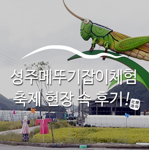  가을 들녘 메뚜기잡으러 gogo! 성주메뚜기잡이체험축제 현장속으로 후기 :: 경북가을축제, 성주메뚜기잡이축제, 축제후기, 경북성주