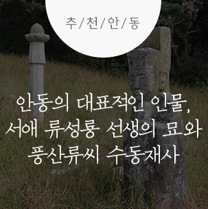  <징비록, 懲毖錄>을 저술했던 안동의 대표적인 인물, 서애 류성룡 선생의 묘와 수동재사 :: 안동여행, 징비록, 수동재사