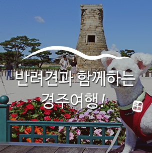  반려견과 함께 하는 경주여행 :: 경주반려견동반여행, 경주여행코스, 경주애견동반카페, 경주애견동반식당, 경주애견동반여행, 경주여행