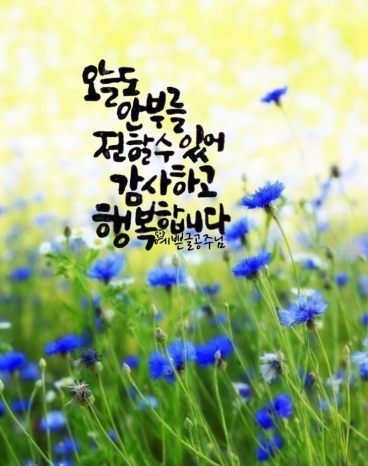  오늘의 좋은글, 오늘의 뉴스 헤드라인(2019.10.10)