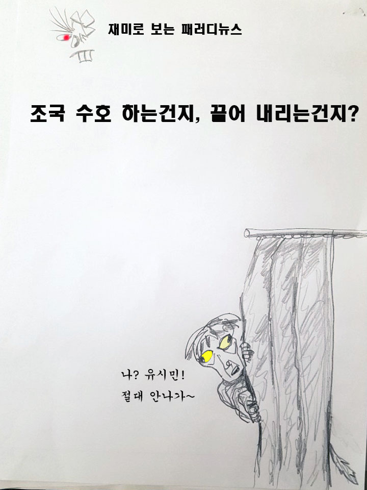  조국 수호하는건지...