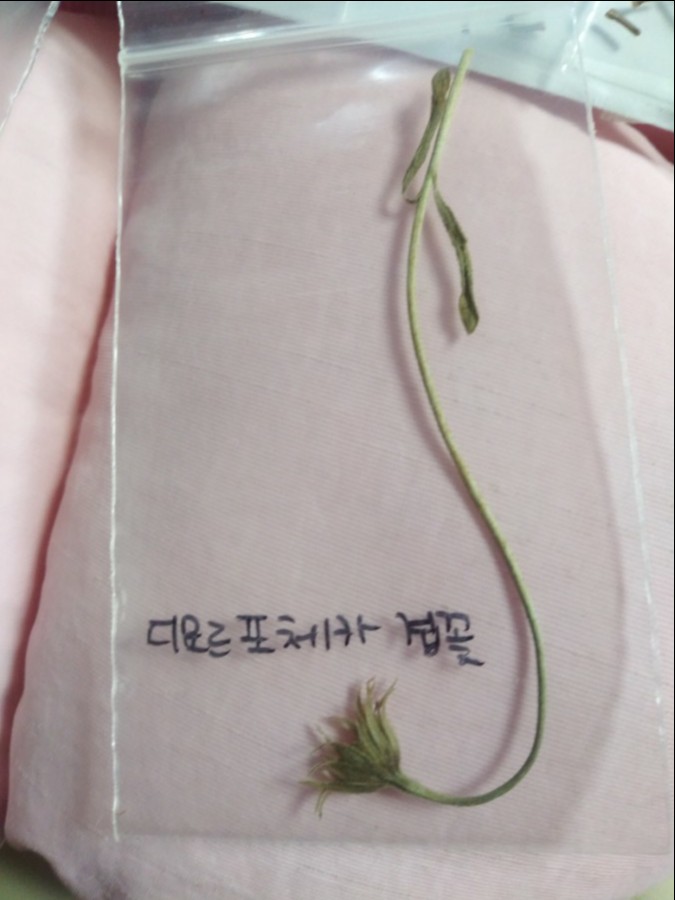  쩡이님 편지 잘 받았어요.