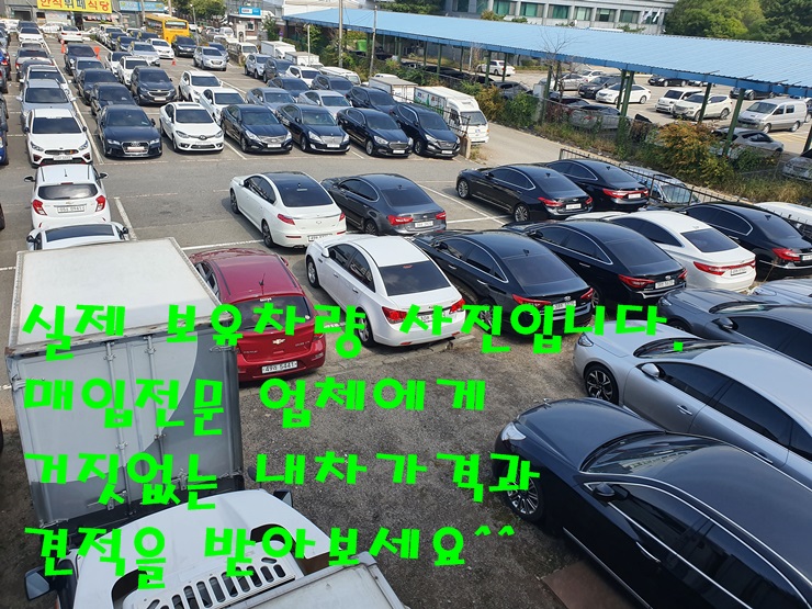  소나타매입 언능 보고싶다잉!