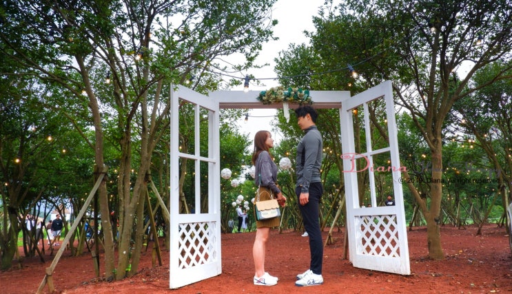 이국적인 감성 숲속 산책 제주 에코랜드 이국적인 감성 숲속 산책 제주 에코랜드