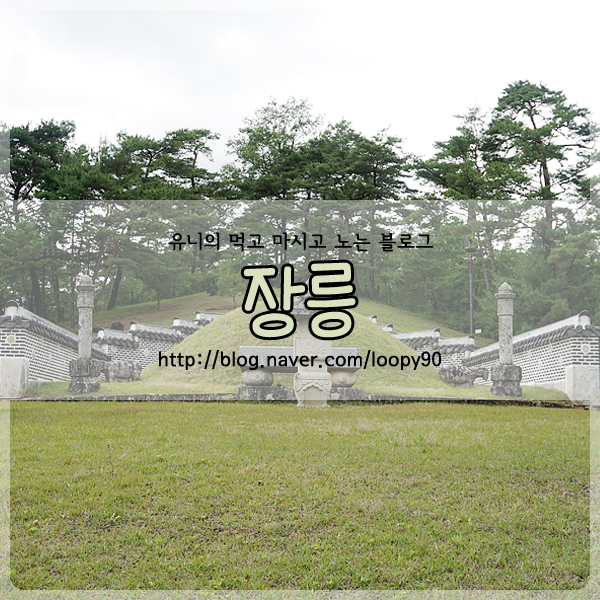  강원도 영월 가볼만한곳 장릉 단종의 릉 보고왔어요