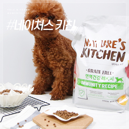  ANF 기능성 사료 활력에 좋은 네이처스 키친