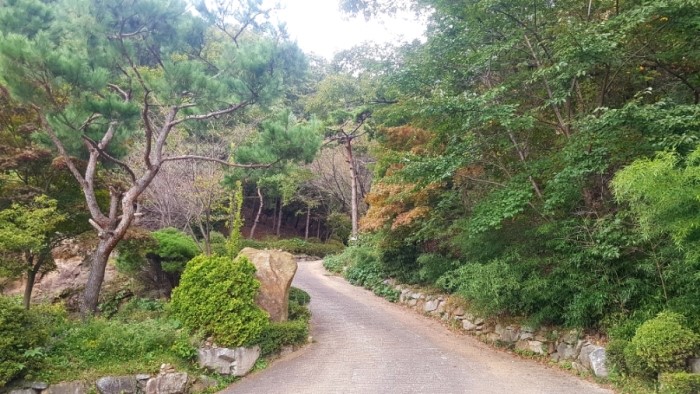  [ 더 깊은 뉴스브리핑 ] 2019년 10월 11일 이세철의 출근길 뉴스/정책브리핑
