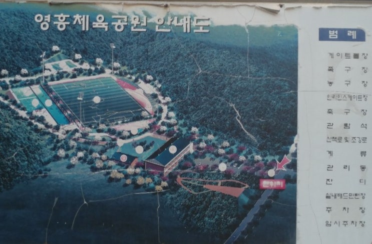  영통 영흥공원 축구장 인근 수원호텔 단체할인