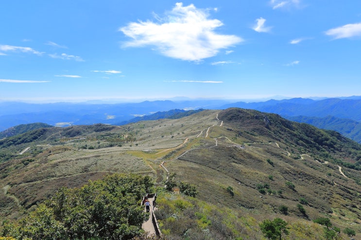  황매산 억새 산행
