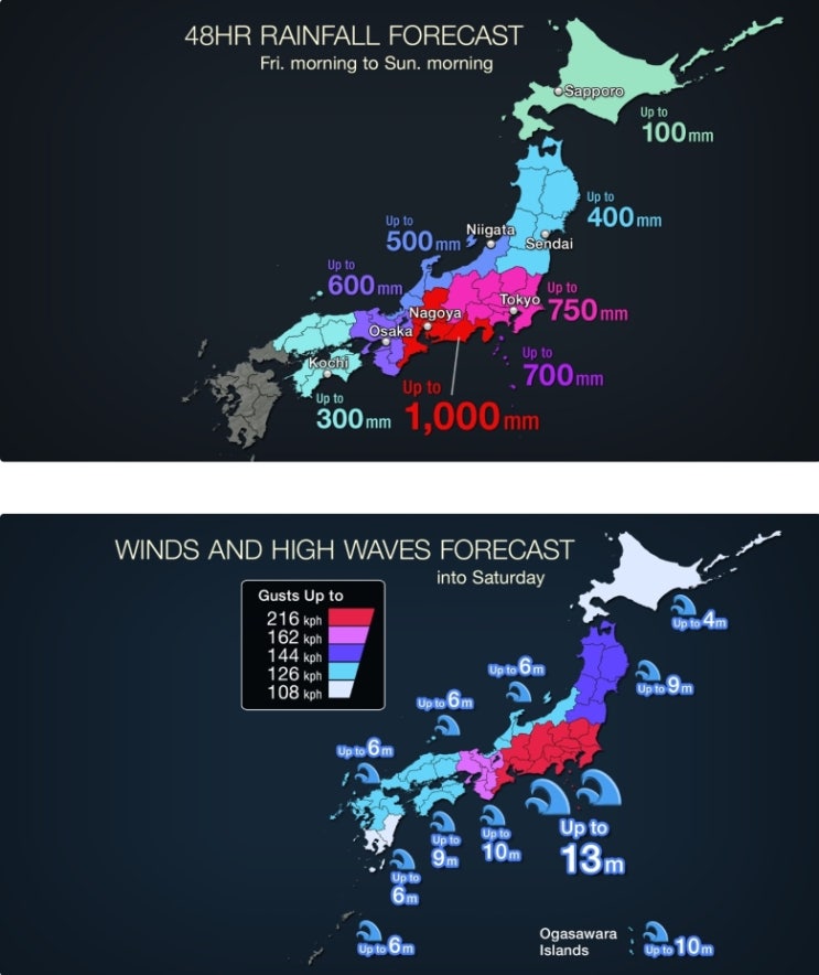  태풍 19호 하기비스 일본 영향