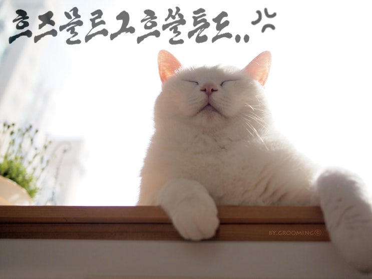  #복귀일기_'슬기로운 PC 생활'