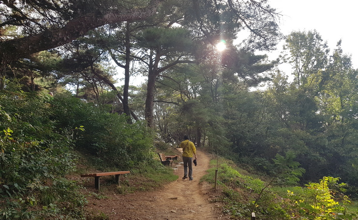  2019년 가장 잘한 일, 꼭 이루고 싶은 것 한가지