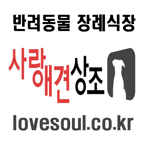  [용인,성남,광주,하남,구리] 동물장례, 반려동물안락사, 강아지화장터, 고양이화장 후회없는 선택 "사랑애견상조"