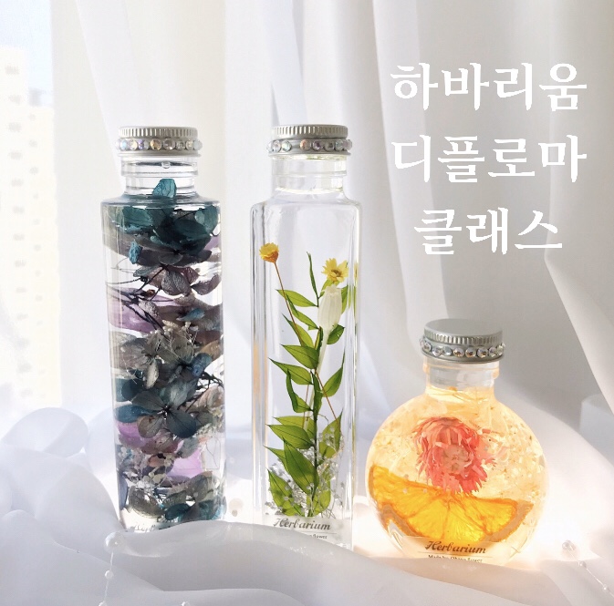  [부산하바리움] JHA하바리움 디플로마 클래스 : 부산 수영 광안 플라워스튜디오 오하나플라워
