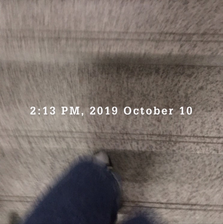 191010 요양하는 개(;;왈왈^^)의 식단 일기