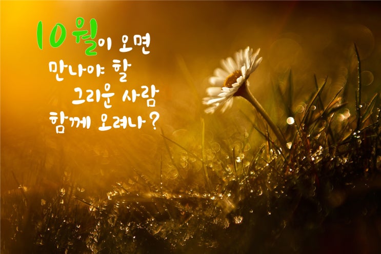   좋아하는 시, 시월의 흔적 / 송태열