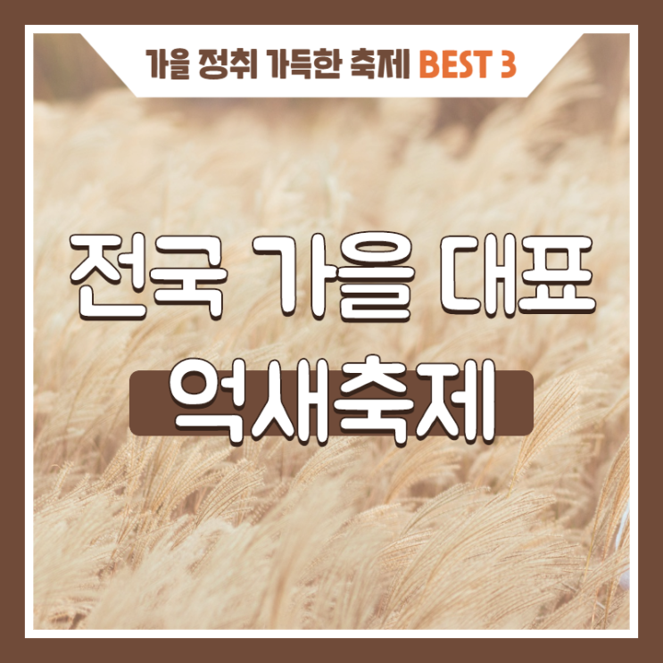  전국 가을 대표 억새축제 Best 3
