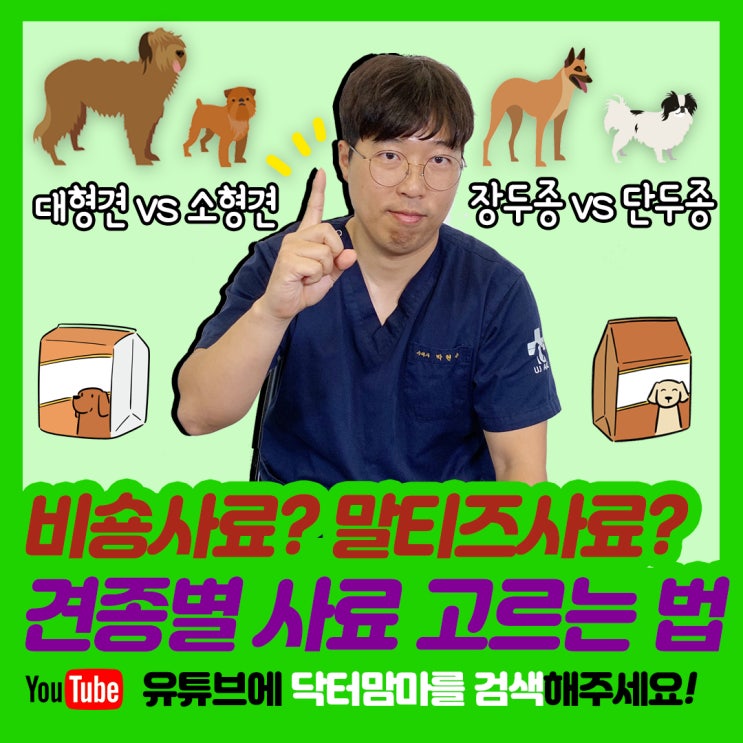  비숑사료? 말티즈사료? 강아지에게 알맞은 사료가 있다?
