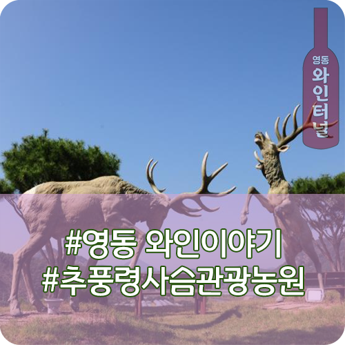  영동 와인 여행이야기, 자연과 힐링을 선사하는 추풍령사슴관광농원