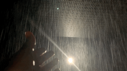  전시) 랜덤 인터내셔널 Random International: 레인룸 Rain room