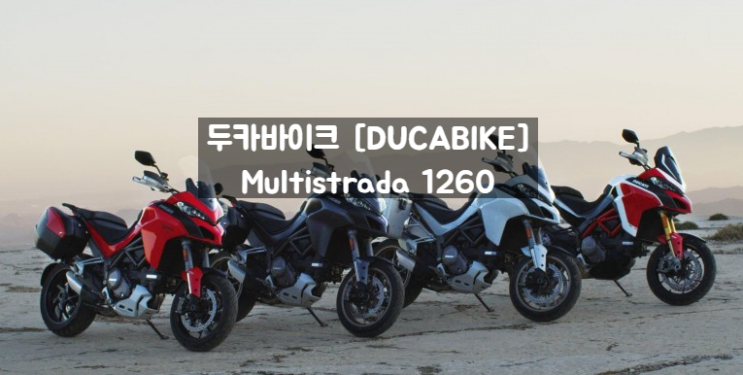  두카바이크 [ Ducabike ] 멀티스트라다1260