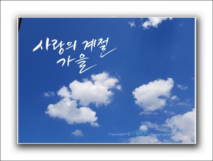  10월 11일