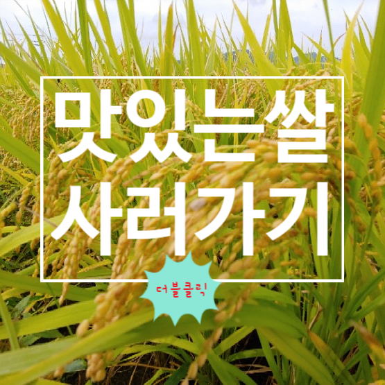  쌀5kg 찹쌀20kg 쌀유통기한 쌀한가마니무게