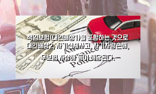  실시간자동차보험비교견적 신중히 알아봐요