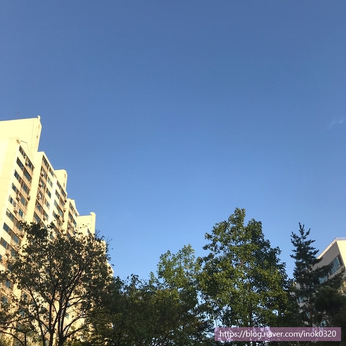  9月-②